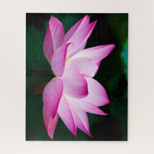 Schöne Rosa Lotus Blume Bloom Puzzle