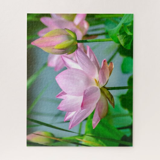 Schöne Rosa Lotus-Blume Puzzle (Vertikal)