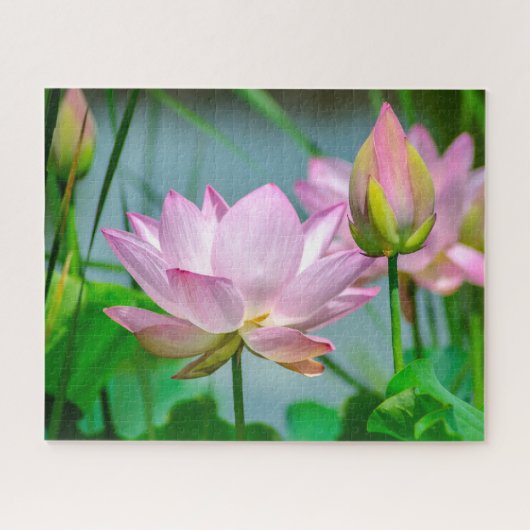 Schöne Rosa Lotus-Blume Puzzle (Horizontal)