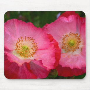 Schöne rosa Mohn Mousepad