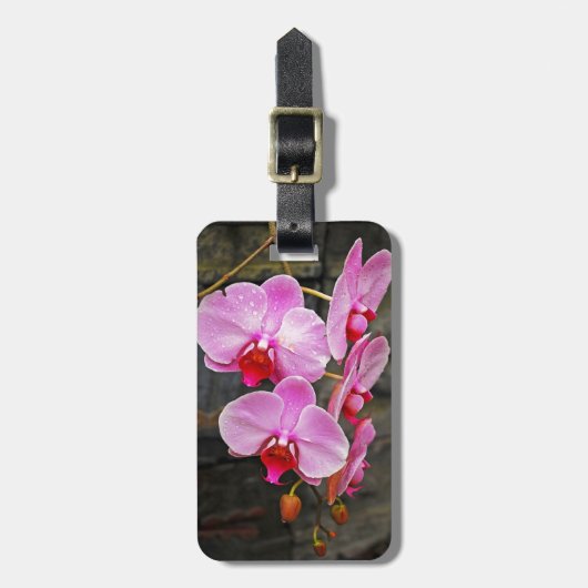 Schöne Rosa Mottenorchideen Gepäckanhänger (Vorderseite vertikal)