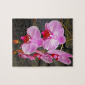 Schöne Rosa Mottenorchideen Puzzle (Horizontal)