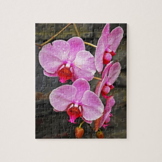 Schöne Rosa Mottenorchideen Puzzle (Vertikal)