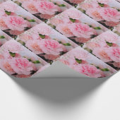 Schöne rosa Nelkenblütenfotografie. Geschenkpapier (Ecke)