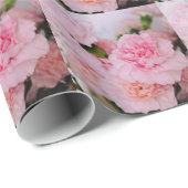 Schöne rosa Nelkenblütenfotografie. Geschenkpapier (Rolleneckpunkt)