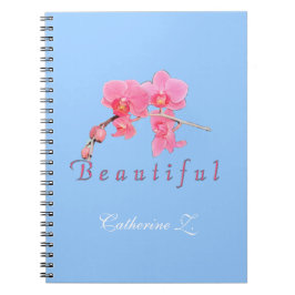 Schöne rosa orchide Blume im blauen Hintergrund. Notizblock