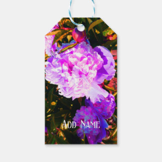 Schöne rosa Peonies Geschenkanhänger