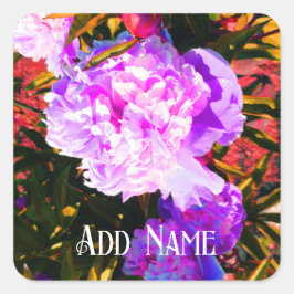 Schöne rosa Peonies Quadratischer Aufkleber