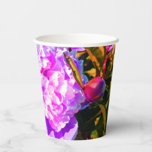 Schöne Rosa-Peonies-Runde Pappbecher (Rückseite)