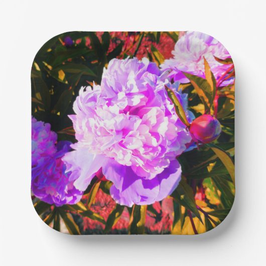 Schöne Rosa-Peonies-Runde Pappteller (Vorderseite)