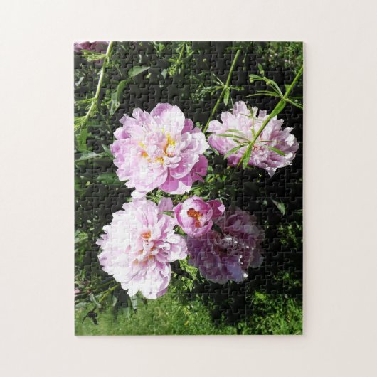 Schöne rosa Peonys floral Puzzle (Vertikal)