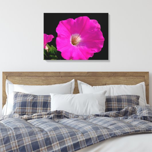 Schöne, rosa Petunia-Blume in schwarz Leinwanddruck (Insitu (Schlafzimmer))