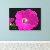 Schöne, rosa Petunia-Blume in schwarz Leinwanddruck (Insitu (Holzboden))