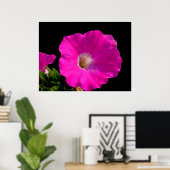Schöne rosa Petunia-Blume in schwarz Poster (Heimbüro)
