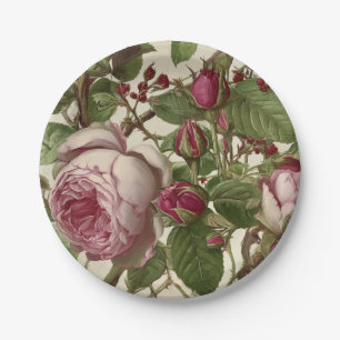 Schöne rosa Pfingstrosen Botanisches florales Desi Pappteller