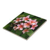 Schöne rosa Plumeria-Blume Fliese (Seite)