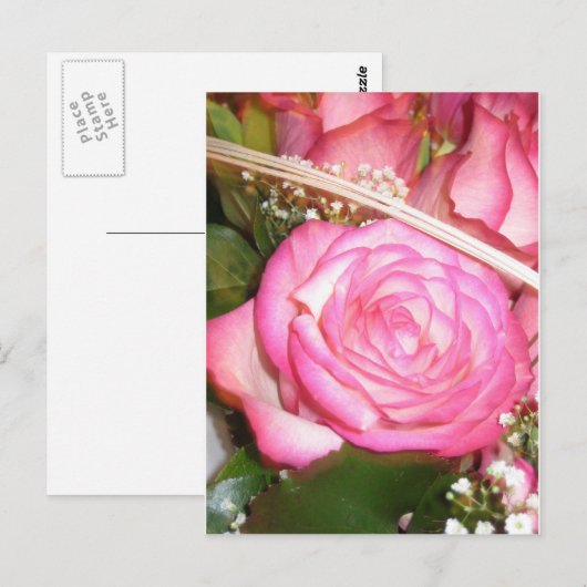 Schöne rosa Postkarte (Vorne/Hinten)