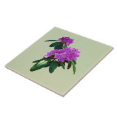 Schöne rosa Rhododendren Fliese (Seite)