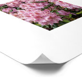 Schöne rosa Rhododendren Poster (Ecke)