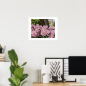 Schöne rosa Rhododendren Poster (Heimbüro)