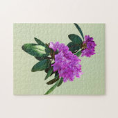 Schöne rosa Rhododendren Puzzle (Horizontal)