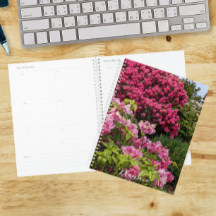 Schöne rosa Rhododendronblüten floral Planer