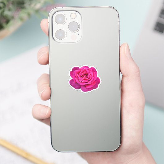 Schöne Rosa Rosa Aufkleber (Telefon)