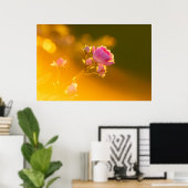 Schöne rosa Rosa in Sonnenuntergang Romantik Poster (Heimbüro)