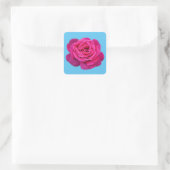 Schöne Rosa Rosa Quadratischer Aufkleber (Tasche)