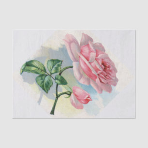 Schöne rosa Rose auf grauem Seidenpapier