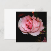 Schöne Rosa Rose Dankeskarte (Vorne/Hinten)