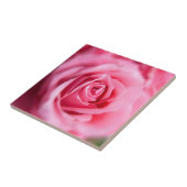 Schöne Rosa Rose Fliese (Seite)