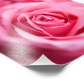 Schöne Rosa Rose Fotodruck (Ecke)