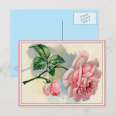 Schöne rosa Rose, graue Postkarte horizontal (Vorne/Hinten)