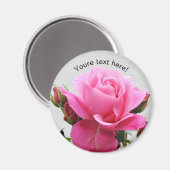 Schöne Rosa Rose Magnet (Vorderseite/Rückseite)