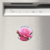 Schöne Rosa Rose Magnet (In Situ (Geschirrspüler))