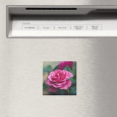 Schöne Rosa Rose Magnet (In Situ (Geschirrspüler))