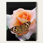 Schöne rosa Rose mit Schmetterling Planer (Rückseite)