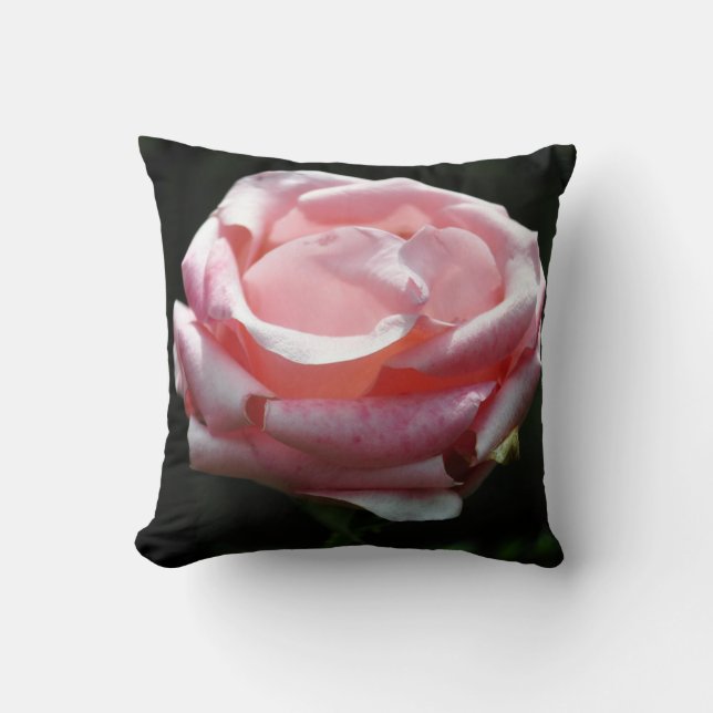 Schöne Rosa Rose Nah-up Kissen (Vorderseite)