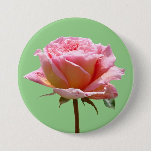 Schöne rosa Rose Nahe Up Cust. BG-Taste Button (Vorderseite)