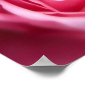 Schöne Rosa Rose Poster (Ecke)