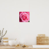Schöne Rosa Rose Poster (Küche)
