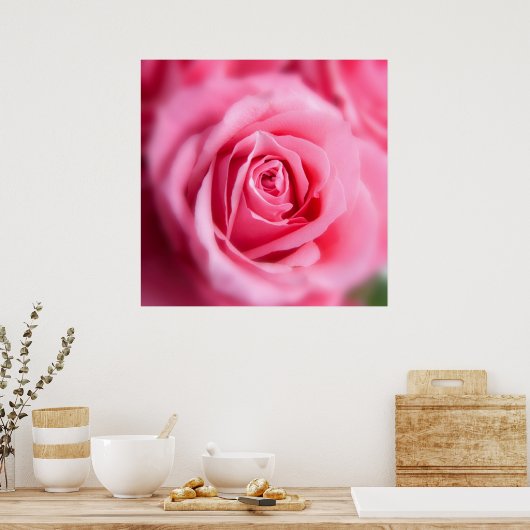 Schöne Rosa Rose Poster (Küche)