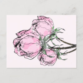 Schöne, rosa Rose Postkarte