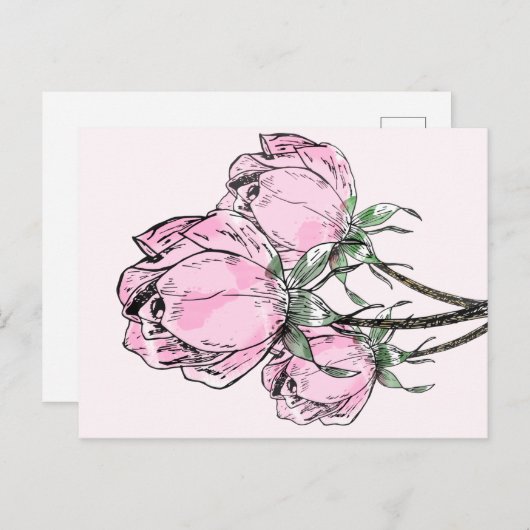 Schöne, rosa Rose Postkarte (Vorne/Hinten)