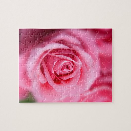 Schöne Rosa Rose Puzzle (Horizontal)