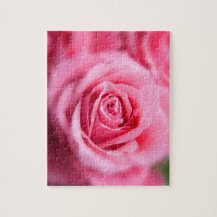 Schöne Rosa Rose Puzzle