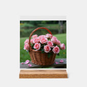 schöne rosa Rosen Acrylschild (Vorderseite)