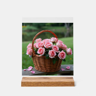 schöne rosa Rosen Acrylschild