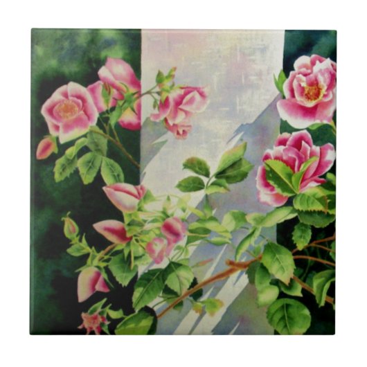 Schöne rosa Rosen Aquarellblüte Fliese (Vorderseite)